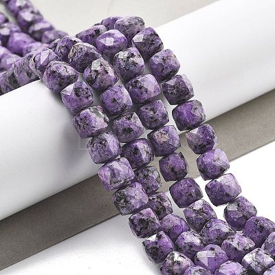 Dyed Natural Sesame Jasper Imitation Charoite Beads Strands G-C179-B01-01-1