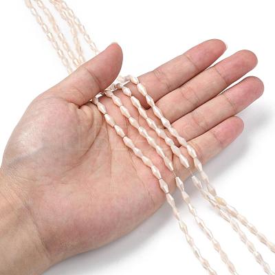 Opaque Glass Beads Strands GLAA-P001-04A-04-1