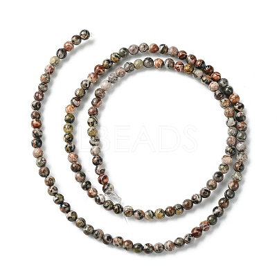 Natural Leopard Skin Jasper Beads Strands G-K365-C01-01-1