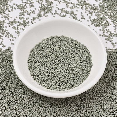 MIYUKI Delica Beads SEED-MY11-DB2282-1