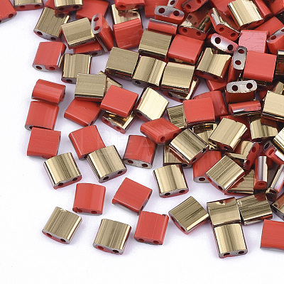 FGB 2-Hole Glass Seed Beads X-SEED-S031-L-045-G-1
