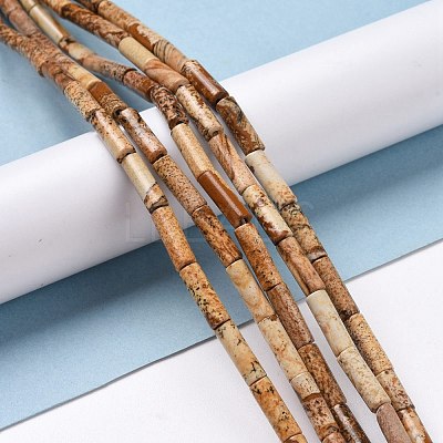 Natural Picture Jasper Beads Strands G-D464-13-1