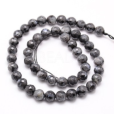 Natural Larvikite Beads Strands G-G736-01-10mm-1