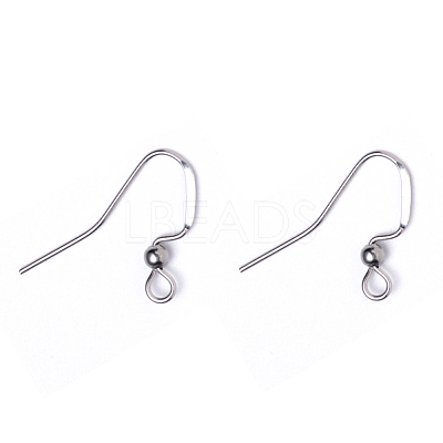 Tarnish Resistant 304 Stainless Steel French Earring Hooks STAS-Q229-02-1