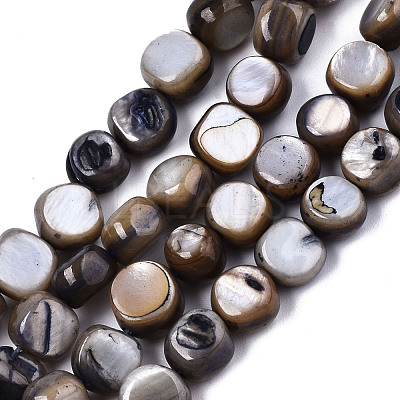 Natural Freshwater Shell Beads Strands SHEL-S276-110B-01-1