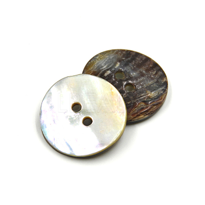 Abalone Shell/Paua Shell X-BSHE-I011-04A-1