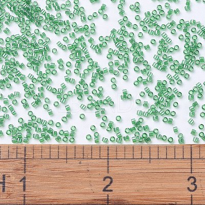MIYUKI Delica Beads X-SEED-J020-DB1889-1