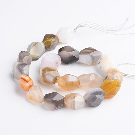 Nuggets Natural Botswana Agate Beads Strands G-D770-09-1