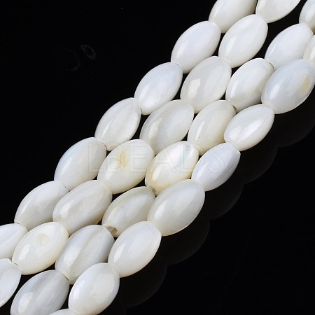 Freshwater Shell Beads Strands SHEL-T009-A15-01-1