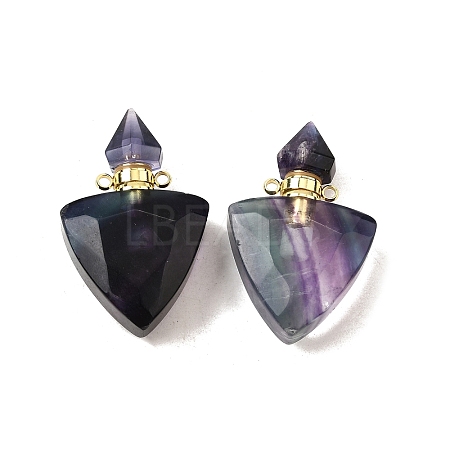 Natural Fluorite Perfume Bottle Pendants G-L623-10G-03-1