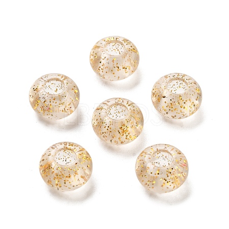 Transparent Acrylic European Beads TACR-P009-A01-03-1