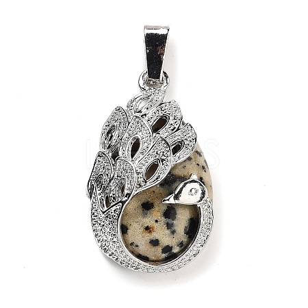 Natural Dalmatian Jasper Teardrop Pendants G-G112-03P-03-1