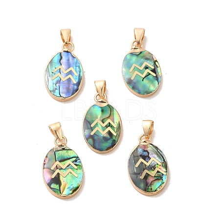 Constellation Natural Paua Shell Pendants KK-P265-01G-09-1