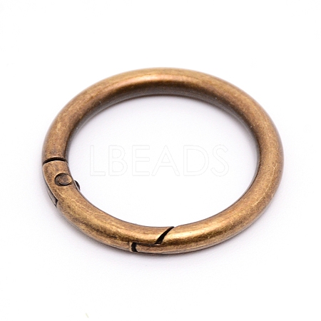 Alloy Spring Gate Rings AJEW-WH0129-48D-AB-1