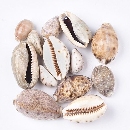 Cowrie Shell Pendants SSHEL-T008-27-1