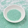 MIYUKI Delica Beads SEED-X0054-DB1707-2