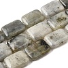 Natural Labradorite Beads Strands G-S386-A03-2