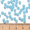TOHO 6/0 Round Beads SEED-XTR06-1143-3