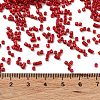 Baking Paint Glass Seed Beads SEED-S042-05B-89-4