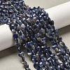Natural Sodalite Beads Strands G-P575-C15-6mm-1