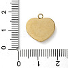 304 Stainless Steel Acrylic Pendants LS-STAS-M091-02B-G-3