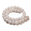 Natural Weathered Agate Beads Strands G-P538-A01-14-2