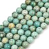Natural Peruvian Turquoise(Jasper) Beads Strands G-F836-A02-10mm-2