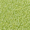 MIYUKI Delica Beads SEED-MY11-DB0860-3