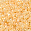 Glass Seed Beads SEED-H002-H-1307-3