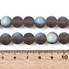 Frosted Transparent Glass Beads Strands LS-GLAA-T032-T10mm-MBB02-4