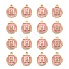 Golden Plated Alloy Enamel Charms LS-ENAM-S118-07H-2