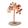 Natural Mixed Stone Chips and Natural Agate with Mixed Stone Pedestal Display Decorations DJEW-G027-09RG-3