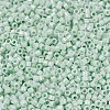 MIYUKI Delica Beads SEED-X0054-DB1506-3