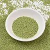 MIYUKI Delica Beads LS-SEED-J020-DB2290-2