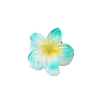 Plastic Claw Hair Clips PW-WG07B2B-12-1