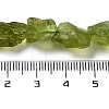 Raw Rough Natural Peridot Beads Strands G-P528-B05-02-4