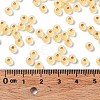 6/0 Glass Seed Beads SEED-Z001-B-E21-4