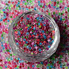 12/0 Glass Seed Beads SEED-R051-01B-3