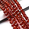 Dyed & Heated Natural Carnelian Beads Strands G-G177-I01-01-1