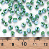 8/0 Two Tone Opaque Glass Seed Beads SEED-T006-01C-A08-5
