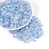 Baking Paint Transparent Glass Beads DGLA-T004-07D-3