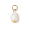 Natural Freshwater Pearl Pendants PALLOY-JF03398-2