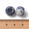Natural Blue Spot Jasper European Beads G-N342-03D-3