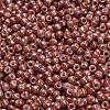 TOHO 6/0 Round Beads X-SEED-TR06-1201-3
