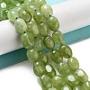 Dyed Natural Malaysia Jade Beads Strands G-P528-I01-01-2