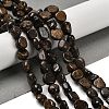 Natural Bronzite Beads Strands G-P497-01E-77-2
