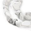 Natural Howlite Beads Strands G-P497-01C-64-4