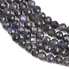 Natural Iolite Beads Strands G-RM250101-D7-3