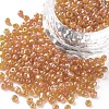 8/0 Round Glass Seed Beads SEED-US0003-3mm-169-1