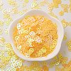 Ornament Accessories Plastic Paillette/Sequins Beads PVC-E001-13-RC02-4